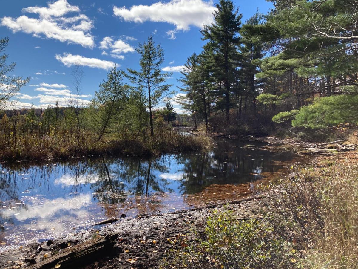 Musky Joe'S Twin Pines Resort New Post Экстерьер фото